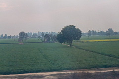 Train Ride to Panchkula