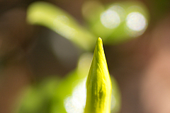20140206122043 50936