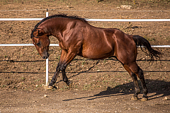 20140823180125 62706