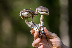 20140925150147 72208
