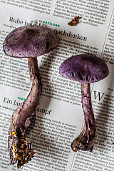 20140921125858 71546
