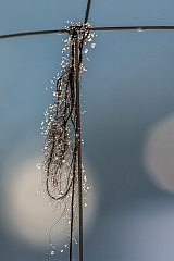 20150101124931 77753