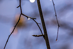 20150101125232 77758