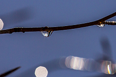 20150101125317 77764-2