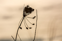 20150101133056 77950