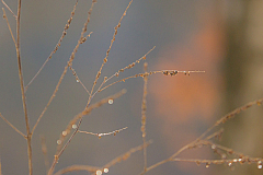 20150101133153 77960