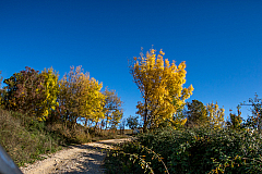 20151108151650 101953