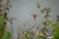 20150824132007 97459