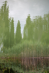 20150824132053 97472
