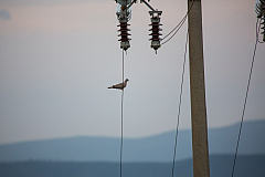 20150815183332 94047