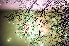 20160101000442 011131