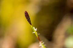 20150503110915 93060