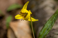 20150503112509 93248
