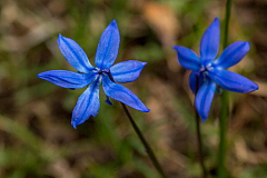 20150503114245 93350