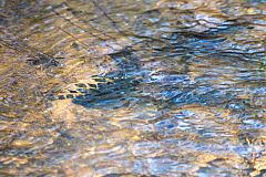 20150328164909 80037