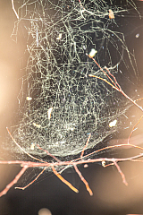 20150328171148 80151