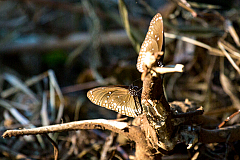 20160114162004 104939