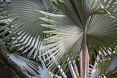 20160114162256 104983