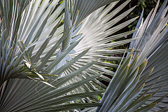 20160114162301 104985