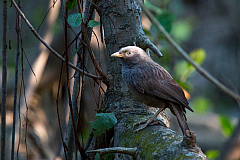 20160114162427 104991