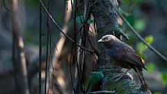 20160114162428 104994