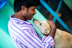 People and Dogs
