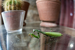 20161125120732 101847