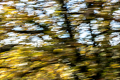 20161125155929 010734