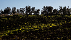 20161125161348 010782