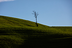 20161125161538 010798