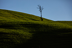 20161125161538 010799