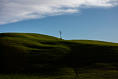 20161125161541 010803