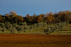 20161125162119 010820