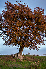 20161126164206 102085