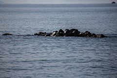 20161127125515 102715