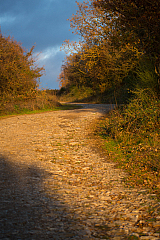 20161202162038 103234