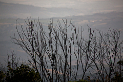 20170615200537 108466