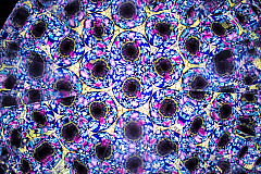 20180808133544 017084