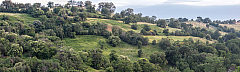 20180606203341 pano