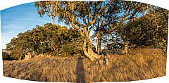 20181101174438 pano