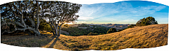 20181101174959 pano