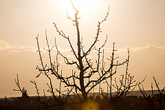 20190310174031 0166