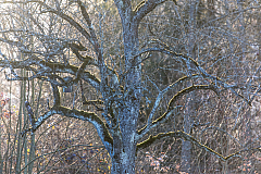 20190310175355 0218