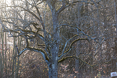 20190310175357 0221