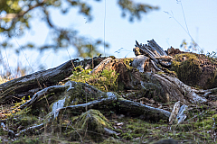 Ibacher Panoramaweg