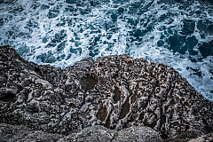 20210526205828 4804