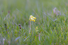 2023-04-07 Easter